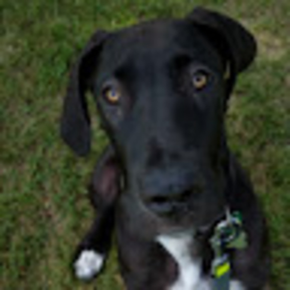 Meet your Posher, Tamara - Picture 1 of 1